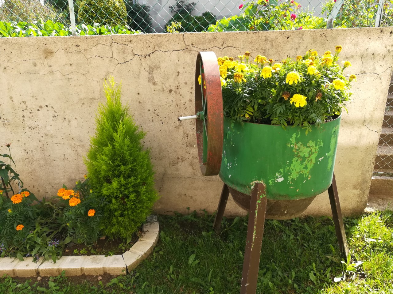 Fleurs dans la roue_1