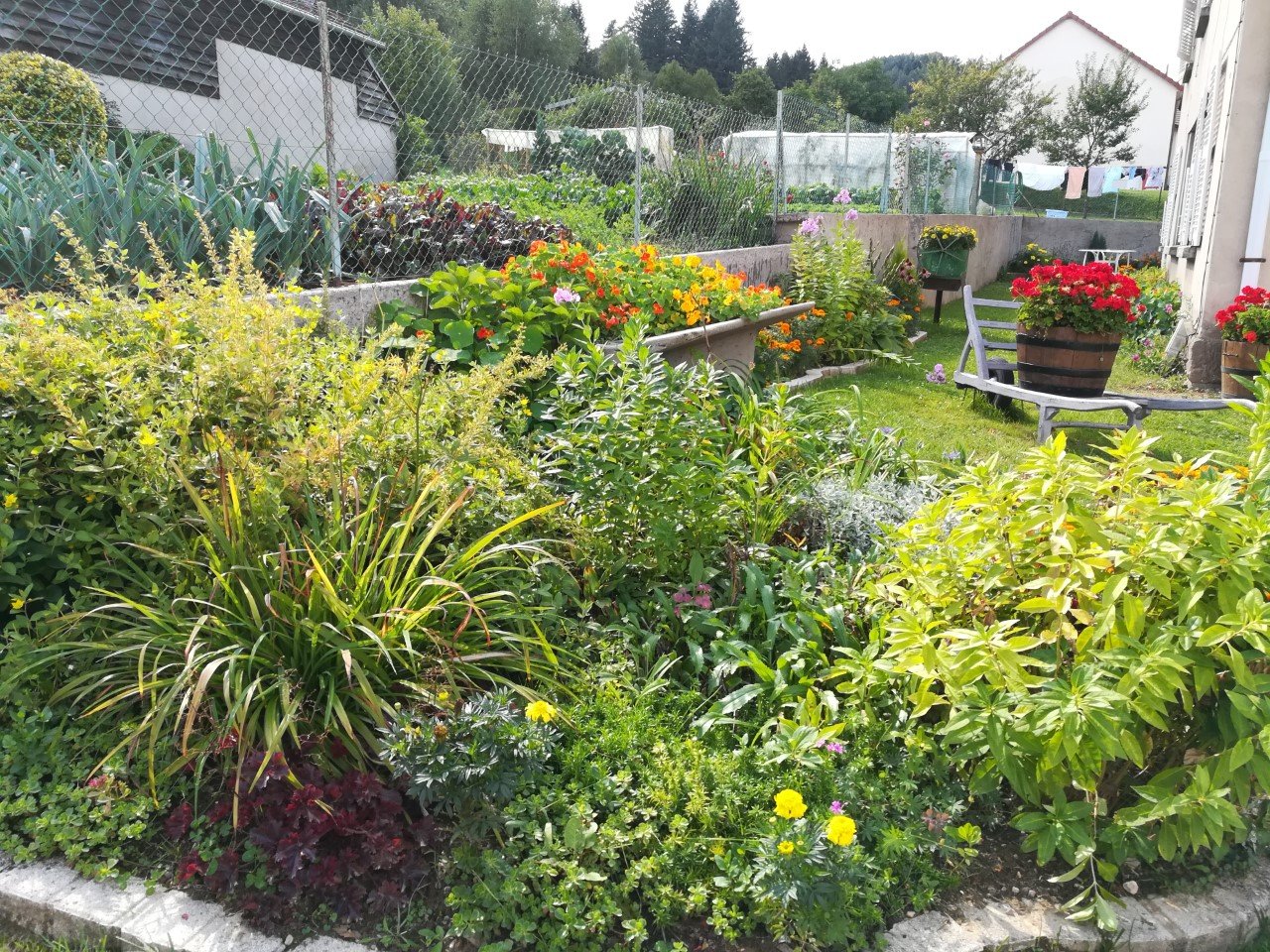 Parterre fleurs
